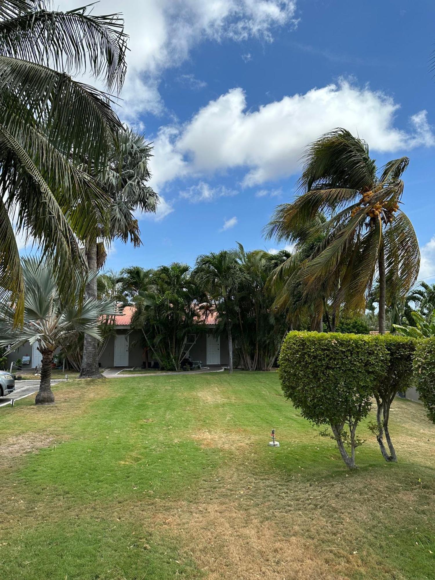 Windmill Apartments Curacao Willemstad Zewnętrze zdjęcie